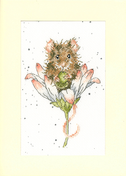 Greeting Card – Wishes Just For You